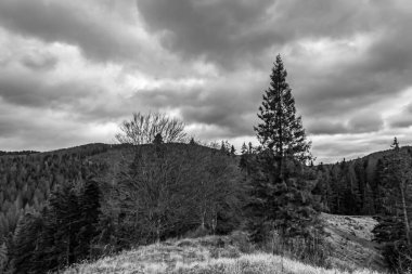 Güzel bir dağ manzarasının siyah beyaz fotoğrafı.