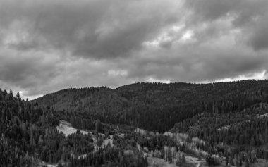 Ormandaki dağların gri tonlu bir görüntüsü.