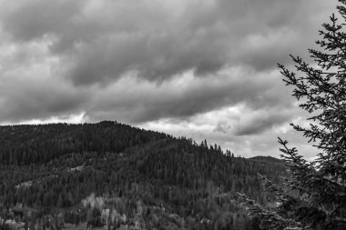 Ağaçları ve bulutlu gökyüzü olan bir dağın gri renkli görüntüsü.