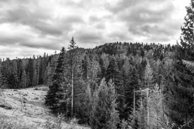 Dağların güzel manzarası