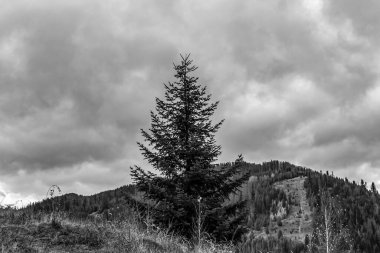 dağın siyah beyaz fotoğrafı