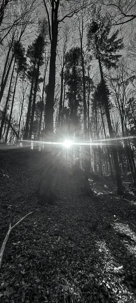 Şehir parkının güzel manzarası