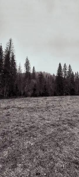 Kırsal manzarası çok güzel.