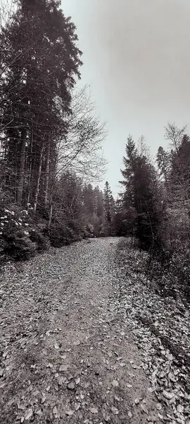 Nehir ve gölü olan güzel bir manzara.