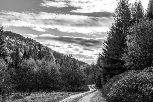 Rusya 'nın kuzeyindeki dağlarda yol