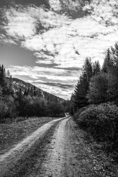 Güzel bir sonbahar manzarasının siyah ve beyaz görüntüsü
