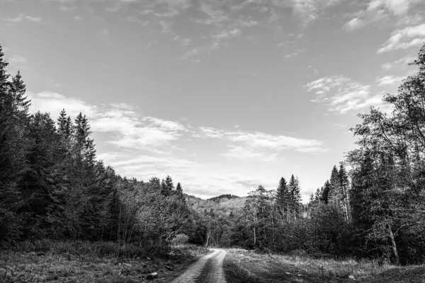 bir dağ manzarasının siyah ve beyaz görüntüsü.
