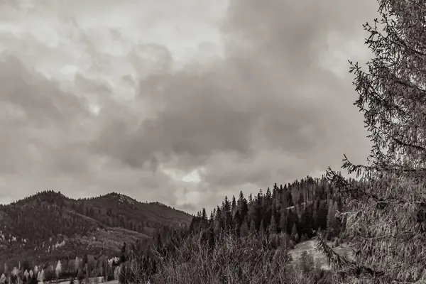 Dağların kışın siyah beyaz fotoğrafı