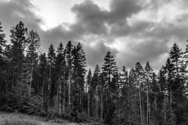 Dağlarda siyah beyaz bulutlar