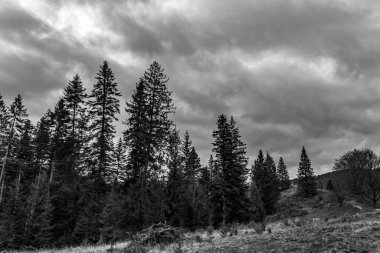 Fırtına bulutları ve gökyüzü