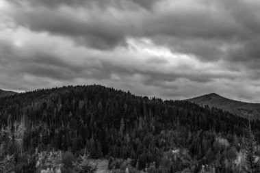 Arkasında bir dağ olan güzel bir manzara.