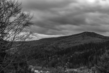 Siyah ve beyaz dağ manzarası Orman ve bulutlar gökyüzünde.