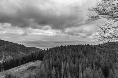 # Dağın tepesinden güzel bir manzara # # Tatra dağlarının ormanında #.