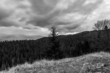 Bulutlu gökyüzü ile güzel bir manzara