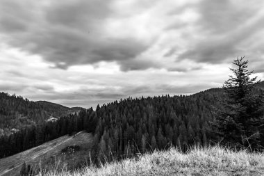 bir dağ manzarasının siyah beyaz fotoğrafı