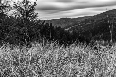 Ağacı ve sıradağları olan güzel bir manzara.