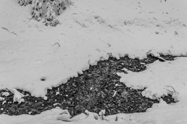 Dağlarda karla kaplı bir dağ deresi. yüksek kaliteli fotoğraf