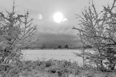 Karlı kış manzarası