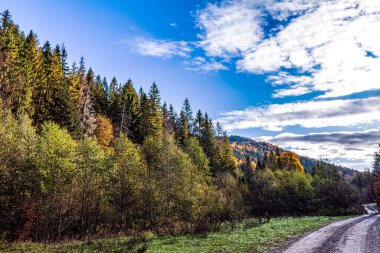 Altai dağlarında sonbahar manzarası