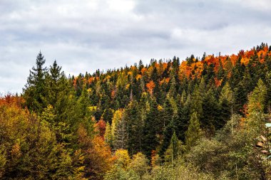Karpatlar sonbaharda