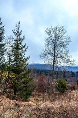 Nehir ve gölü olan güzel bir manzara.