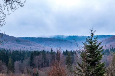 Dağların sisli kış manzarası