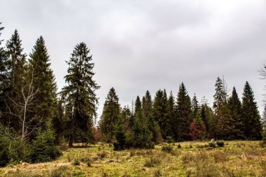 Karpatlar sonbaharda.