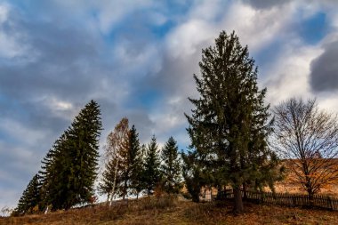 Karpat dağlarının sonbahar manzarası