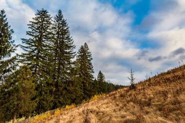 Ukrayna 'daki Karpatlar' ın sonbahar manzarası