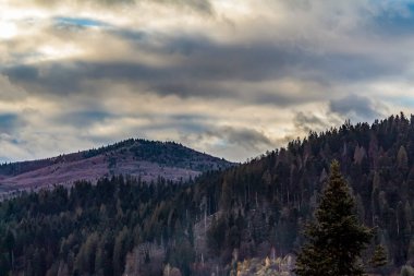 Nehir ve gölü olan güzel bir manzara.