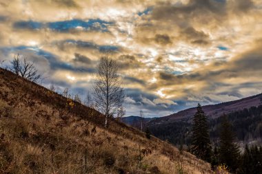 Dağda güzel bir gün batımı