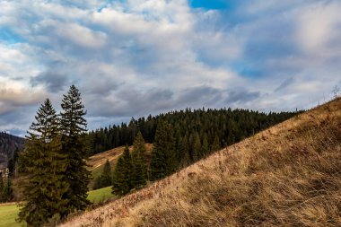 Dağlarda sonbahar. Karpatlar