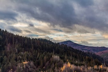 dağda sonbahar renkleri