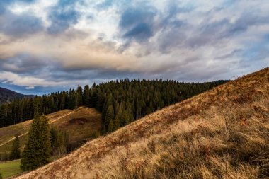 Akşamları Karpat Dağları 'nın Vadisi manzarası.
