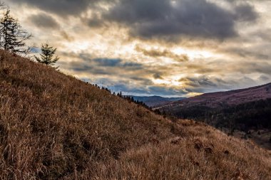 Dağlarda sonbahar. Karpat Dağları