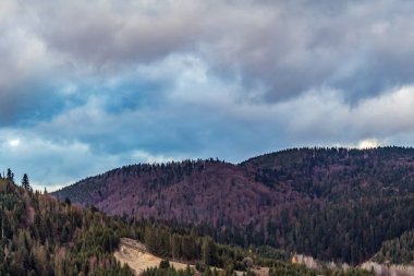 Dağlarda ağaçlar olan güzel sonbahar manzarası
