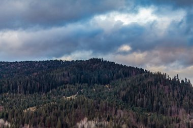 Gün batımında dağlardaki ağaçların güzel bir görüntüsü.