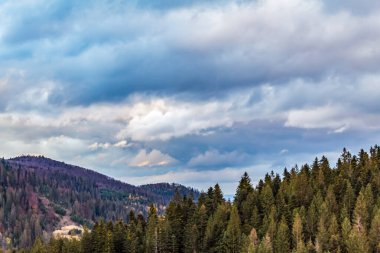 Arka planda karanlık bir gökyüzünün altında bir orman ve dağ sırasının dikey resmi.