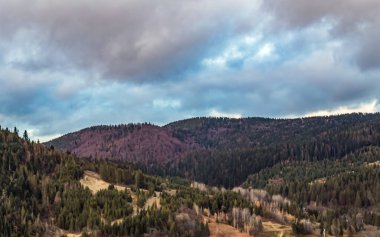Dağları ve ağaçları olan güzel bir manzara.