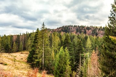 Doğanın güzel manzarası