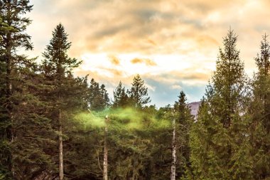 Karpat Dağlarının güzel manzarası