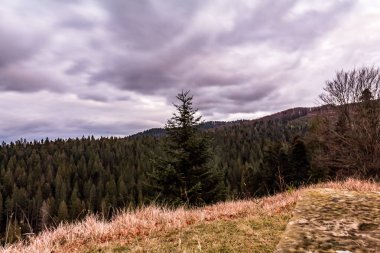 Sonbahar günü Karpatlar için güzel bir manzara.