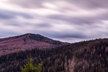 Dağları ve ağaçları olan güzel bir manzara.