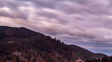 Ağaçlar ve ormanlarla dolu sonbahar manzarası