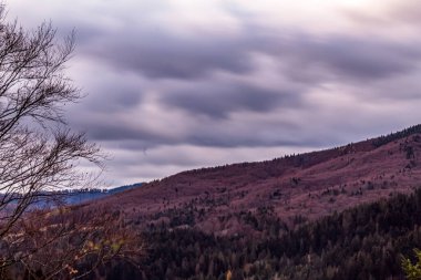 Arkasında bir dağ olan güzel bir manzara.