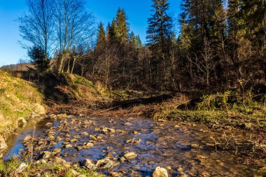 küçük nehir, orman ve mavi bulutlu gökyüzü ile bahar manzarası