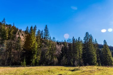 Dağlık bir arazisi ve arka planda bir ormanı olan güzel bir manzara.