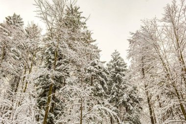 Kar kış manzarasını kapladı.