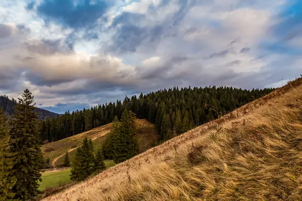 Yeşil ormanlı dağ manzarası, Karpat dağlarında bulutlu gökyüzü, Ukrayna.