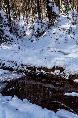 Ormandaki donmuş nehir